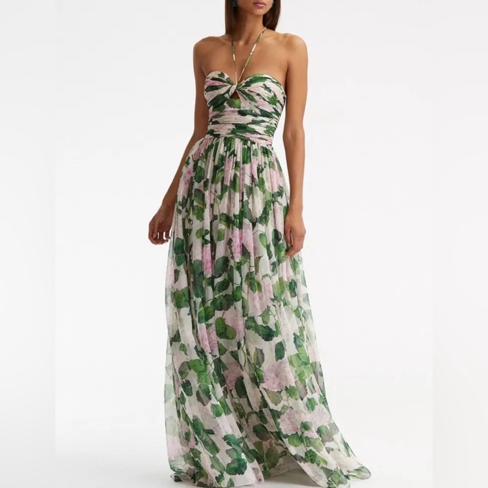 Lena Vie Draped Chiffon Hydrangea Maxi Dress, Long Gown (NOT Oscar De). $269